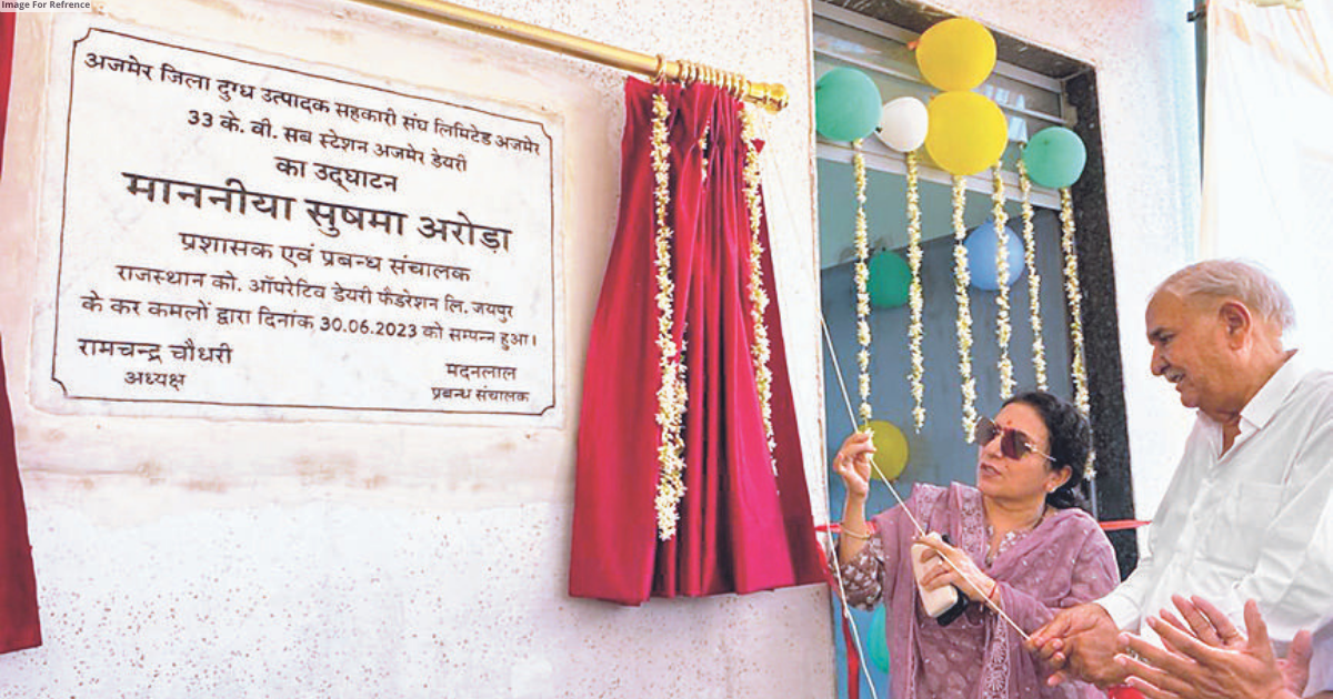 RCDF MD inaugurates power line at Ajmer Dairy